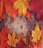 Bunch of Autumn Leaves Wood