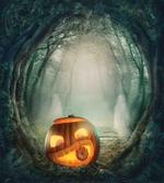 Pumpkin Enchanted Forest