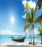 Wooden Boat on Exotic Beach