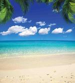 Tropic Vacation Scenic