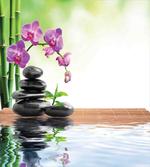 Spa Spring Water Health