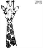 Safari Giraffe