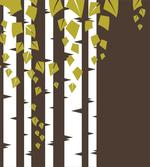 Silhouette of Tree