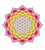 Flower of Life Lotus Vivid