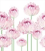Tender Peony Flowers artwork