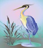 Heron with Reed Water