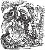Old Engraving Baby artwork