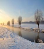 Snowy Season River Trees