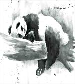 Sleeping Panda