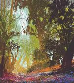 Spring with Fall Leaves