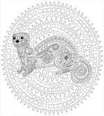 Squirrel Geometric