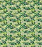 Rainforest Foliage