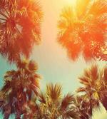 Rest Under Trees