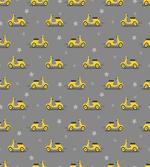 Scooters and Stars