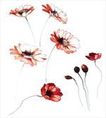 Watercolor Nature