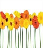 Flowers on Green Stems