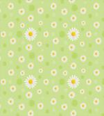 Spring Daisy