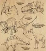 Vintage Sketch Animals