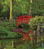 Chinese Bridge in a Forest