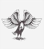 Freedom Liberty