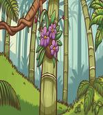 Colorful Jungle Cartoon artwork