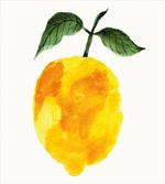 Watercolor Lemon artwork