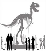 People Look at T-Rex