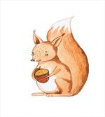 Forest Animal Holds Acorn