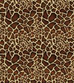Giraffe Skin Pattern
