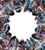 Bird Feathers Circle Art artwork