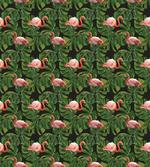 Exotic Bird and Monstera