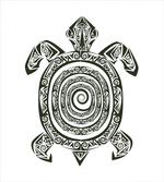 Turtle Maori