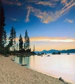 Peaceful Paradise Trees