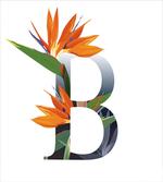 Bird of Paradise B