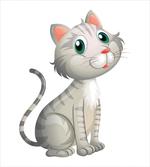 Domestic Cat Pet