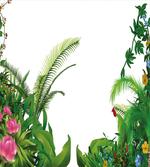 Tropical Plants Exotic