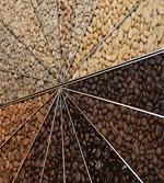Many Varieties of Beans