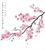 Japanese Cherry Branch artwork