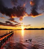 Lake Rotorua at Sunrise