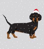 Dog Wears Xmas Hat Snow