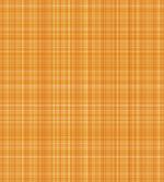 Striped Abstract Texture