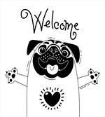 Black and White Dog