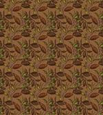 Cocoa Plants Growth Theme