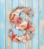 S Seashells Nautical