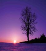 Sunset Nature Landscape