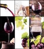 Themed Bottle Wineglass artwork