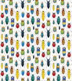 Colorful Insects