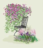 Flowers Blooming Garden