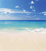 Shore Sea with Waves