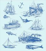 Wildlife Shark Boat artwork